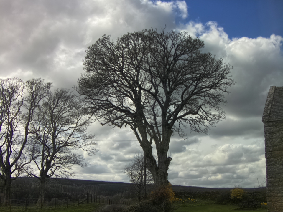 Webcam photo for 15 hrs today