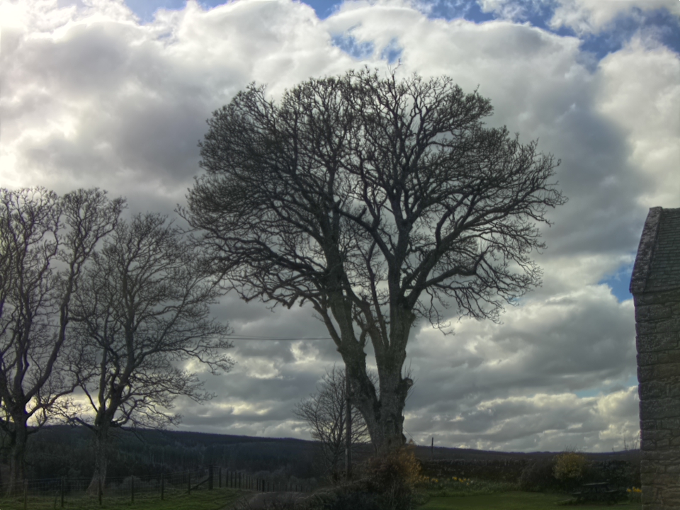 Webcam photo for 16 hrs today