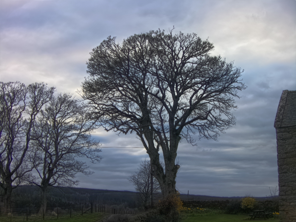 Webcam photo for 19 hrs today