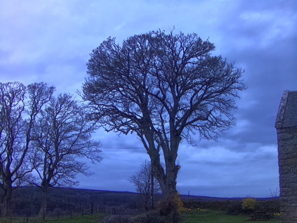 Webcam photo for 20 hrs today