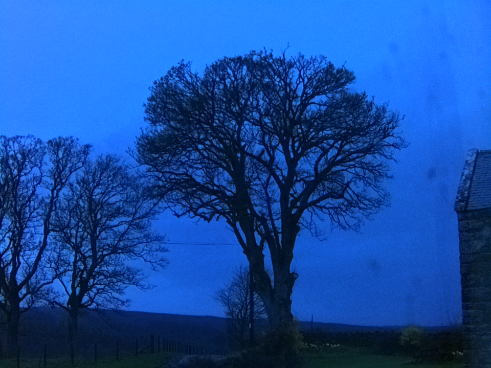 Webcam photo for 06 hrs today