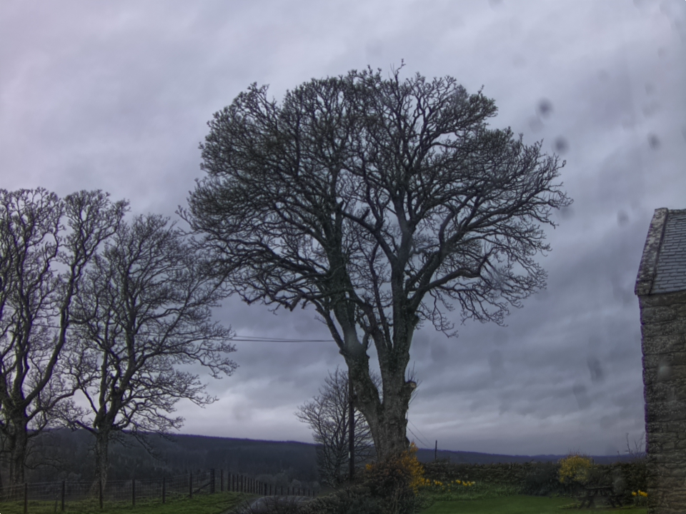 Webcam photo for 07 hrs today