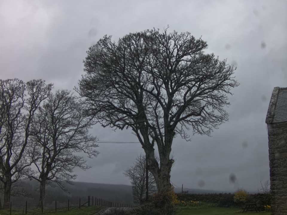 Webcam photo for 08 hrs today