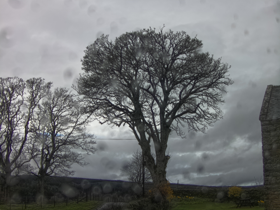 Webcam photo for 10 hrs today