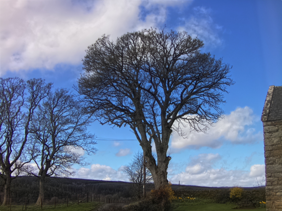 Webcam photo for 12 hrs today