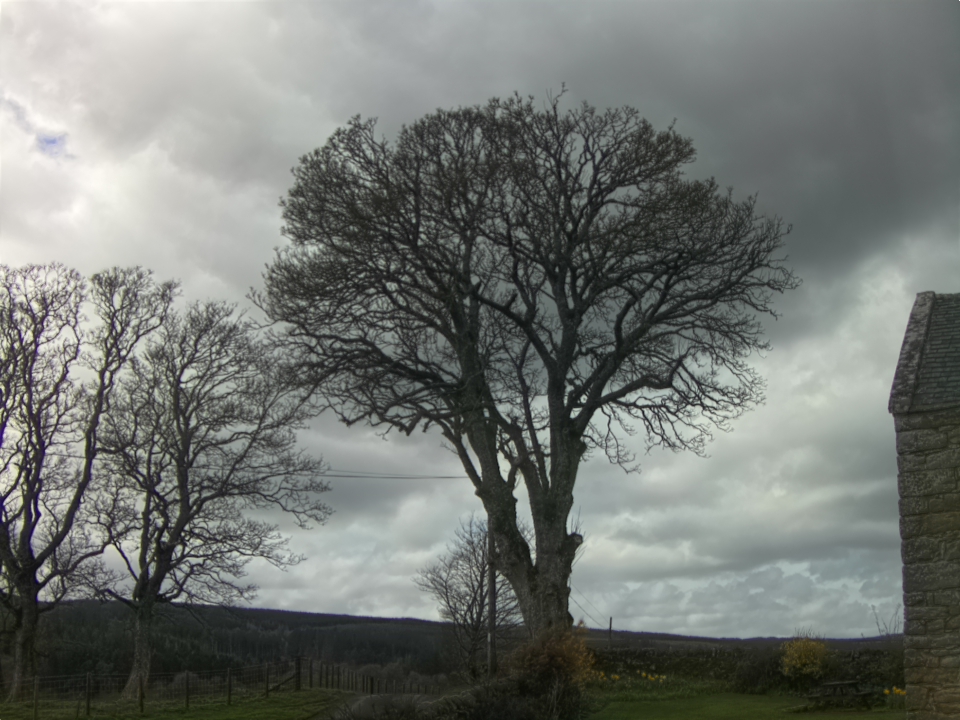 Webcam photo for 14 hrs today