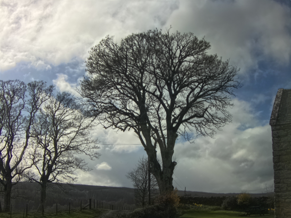 Webcam photo for 16 hrs today