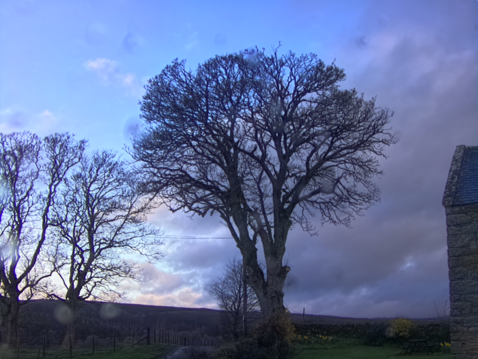 Webcam photo for 07 hrs today