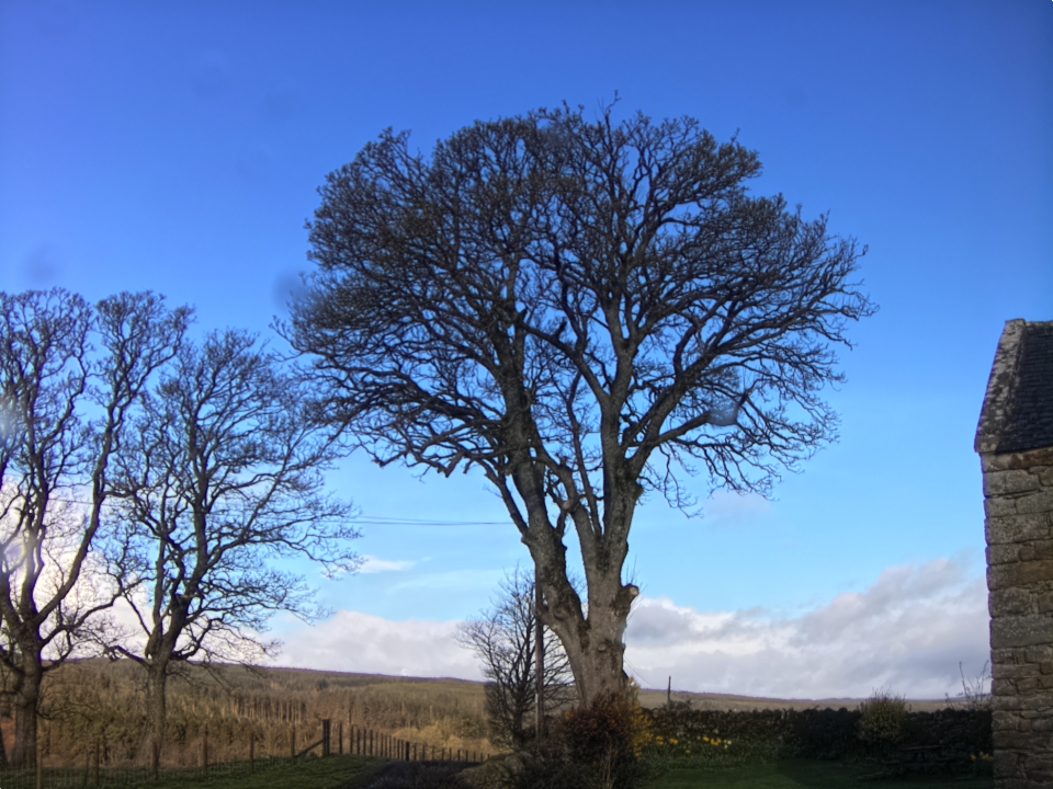 Webcam photo for 08 hrs today