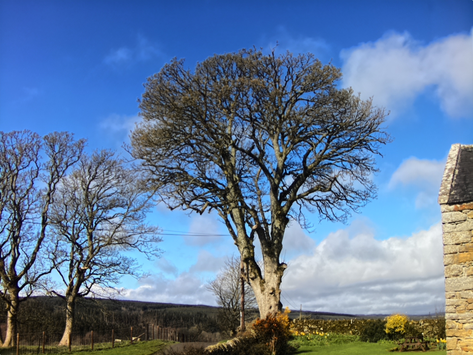 Webcam photo for 10 hrs today