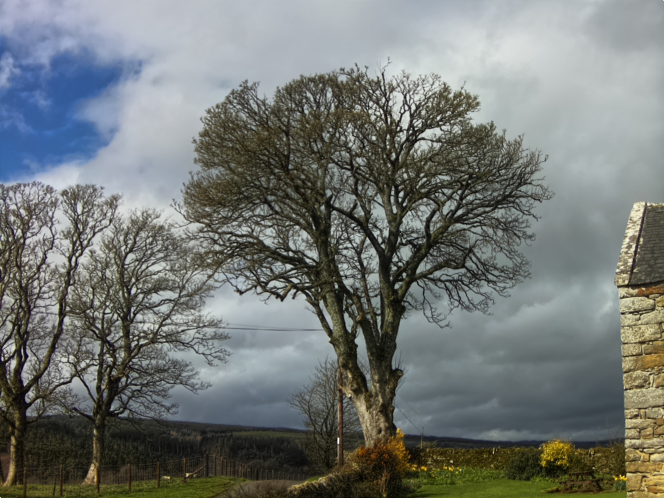 Webcam photo for 11 hrs today