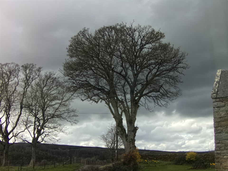 Webcam photo for 16 hrs today