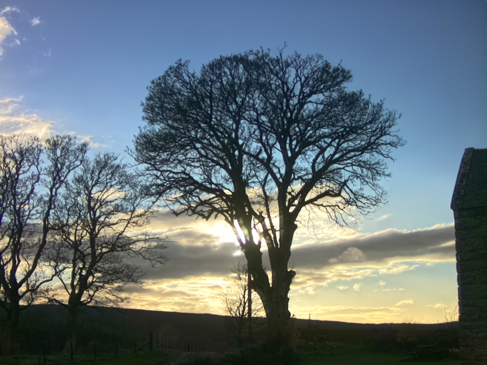 Webcam photo for 19 hrs today