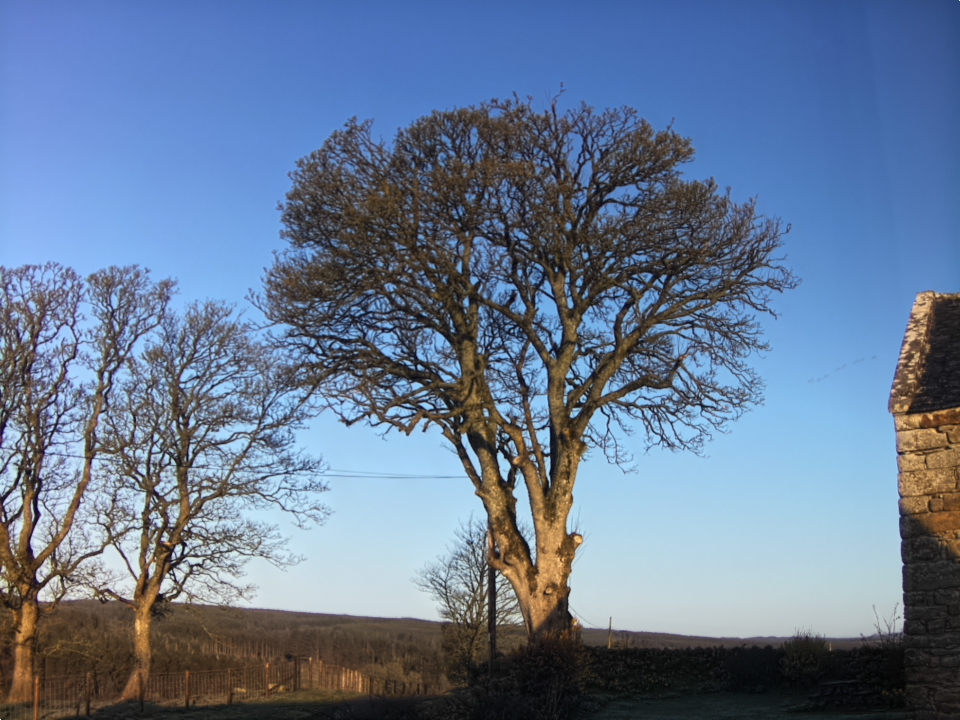 Webcam photo for 07 hrs today