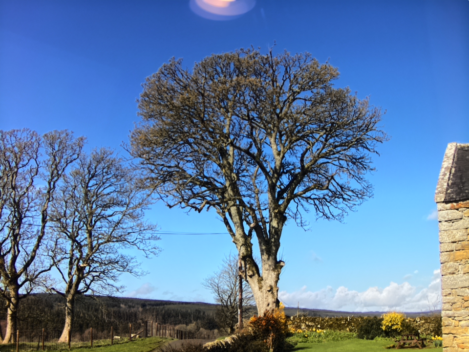 Webcam photo for 10 hrs today