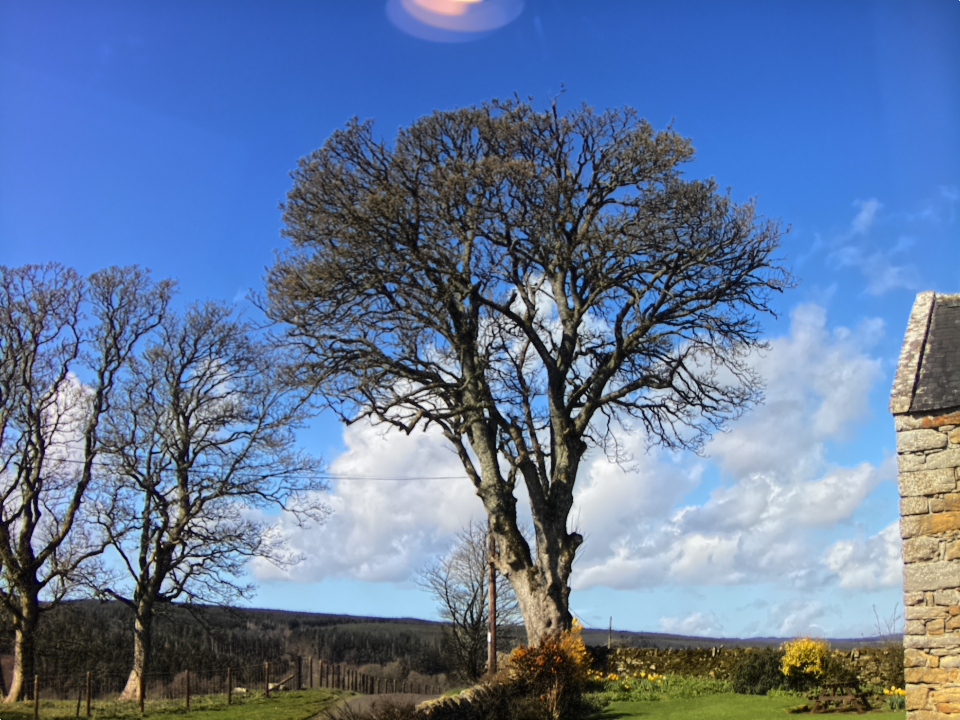 Webcam photo for 11 hrs today