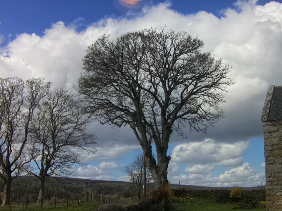 Webcam photo for 12 hrs today