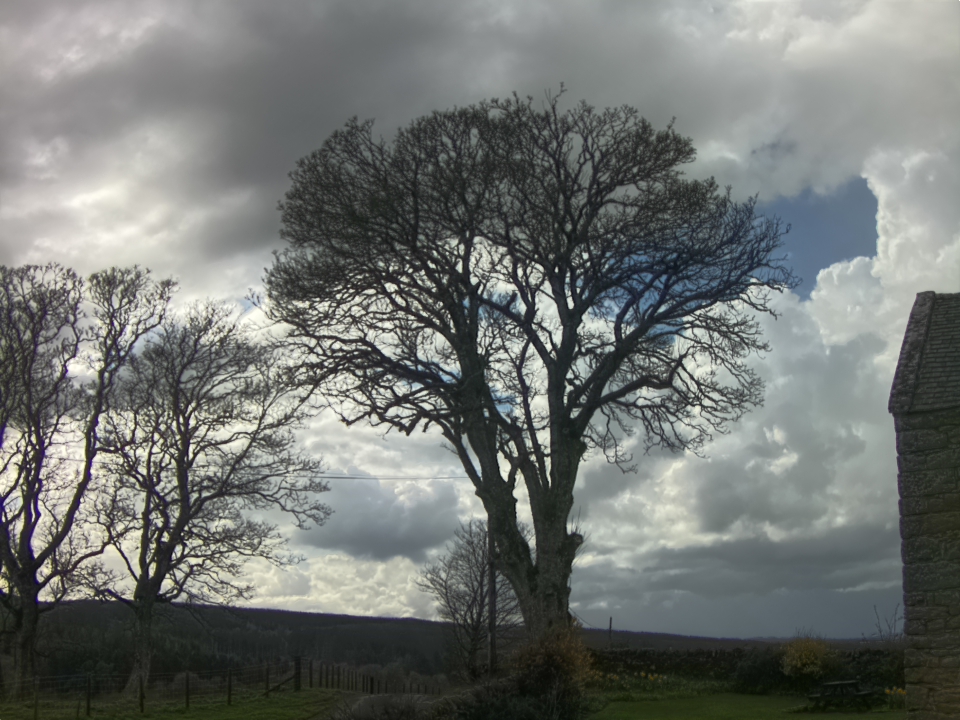 Webcam photo for 16 hrs today