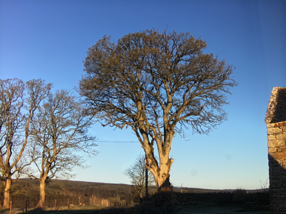 Webcam photo for 07 hrs today