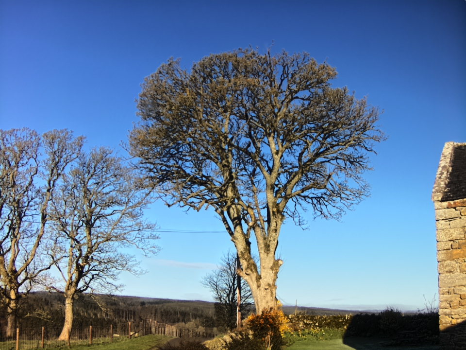 Webcam photo for 08 hrs today