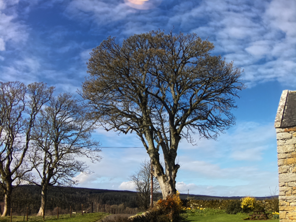 Webcam photo for 11 hrs today