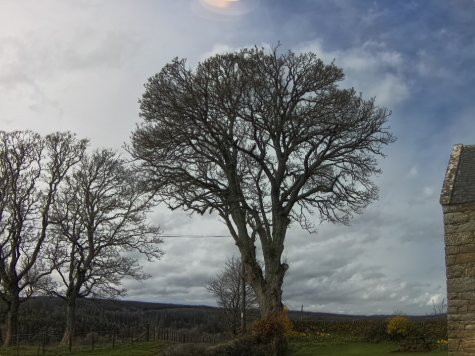 Webcam photo for 12 hrs today