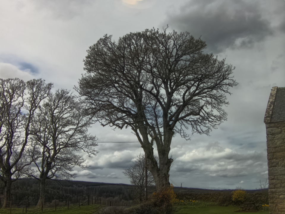 Webcam photo for 13 hrs today