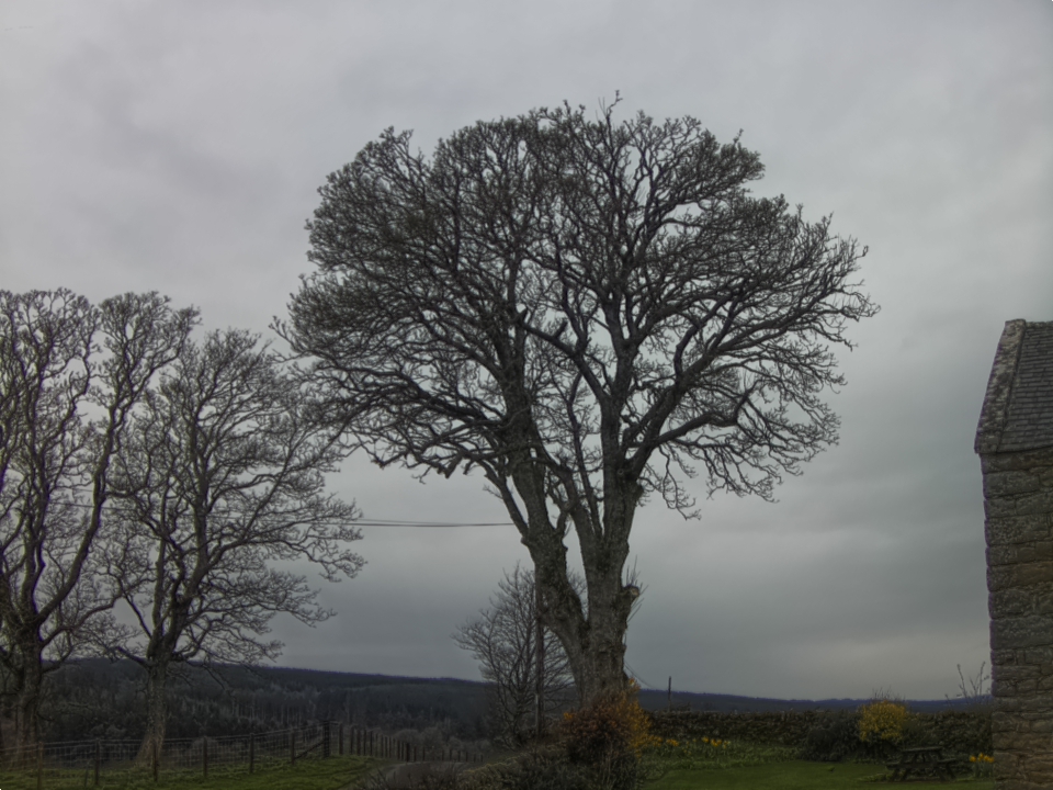 Webcam photo for 16 hrs today