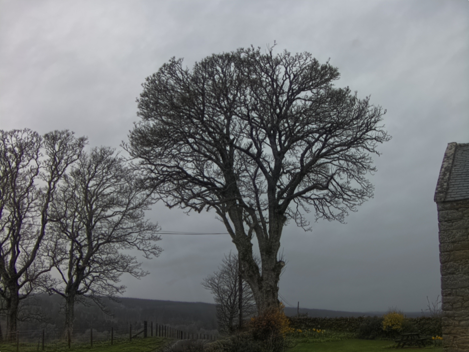 Webcam photo for 17 hrs today