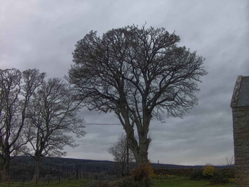 Webcam photo for 18 hrs today