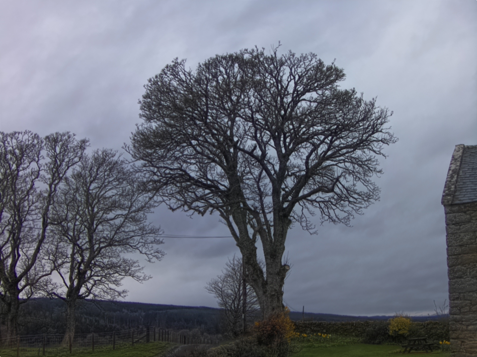 Webcam photo for 19 hrs today