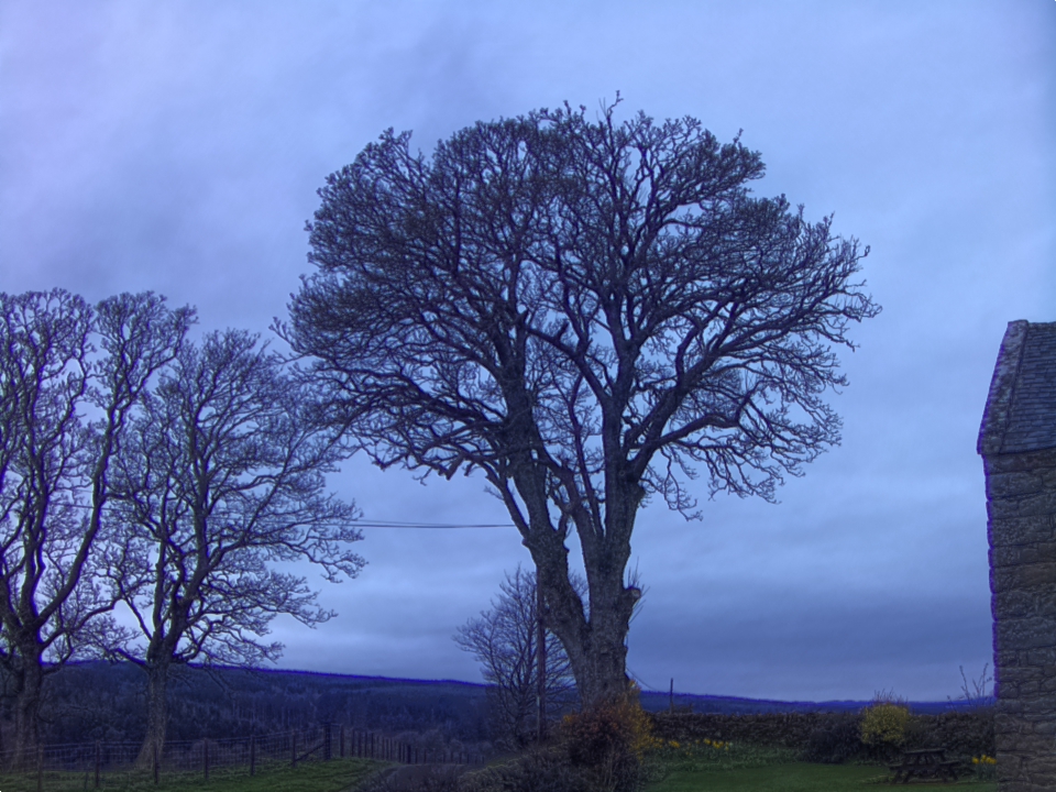 Webcam photo for 20 hrs today