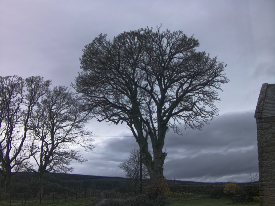 Webcam photo for 07 hrs today