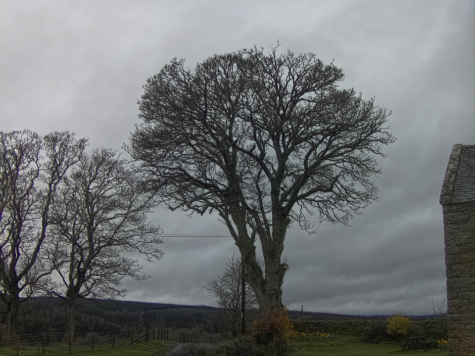 Webcam photo for 08 hrs today