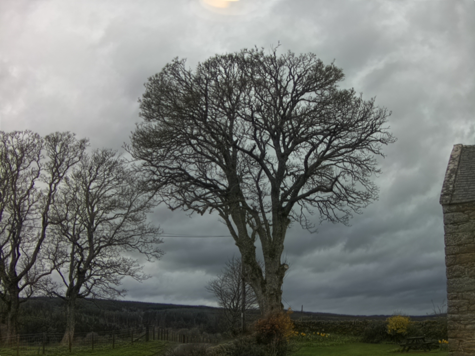 Webcam photo for 11 hrs today