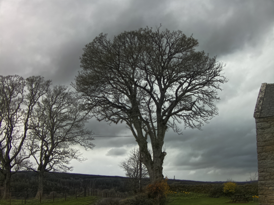 Webcam photo for 14 hrs today