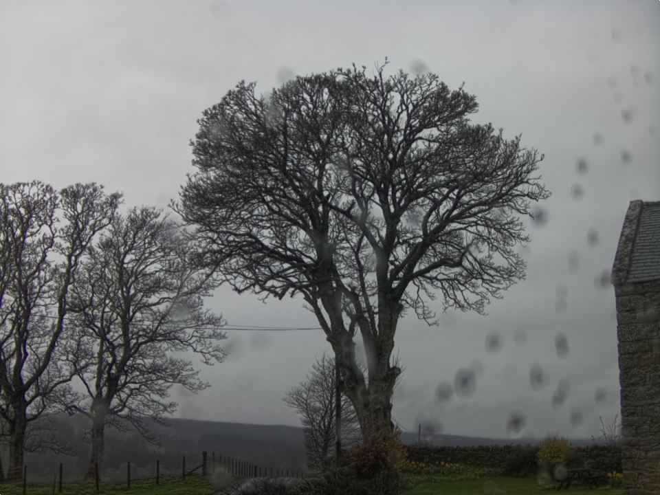 Webcam photo for 16 hrs today