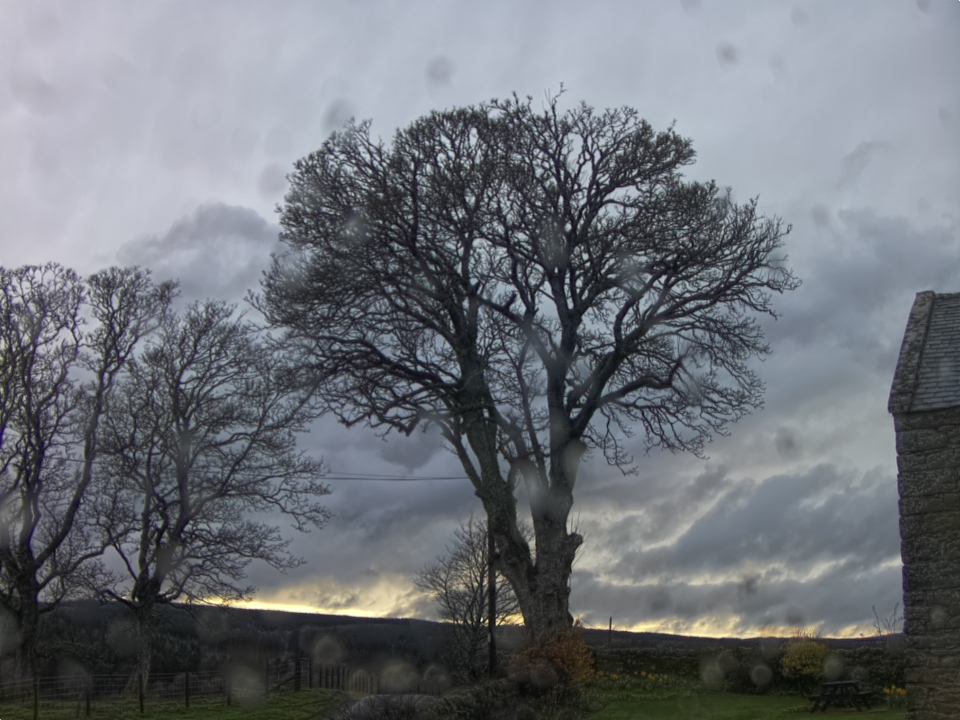 Webcam photo for 19 hrs today