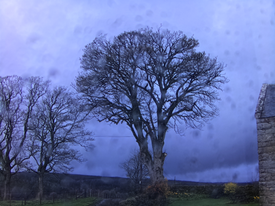 Webcam photo for 06 hrs today