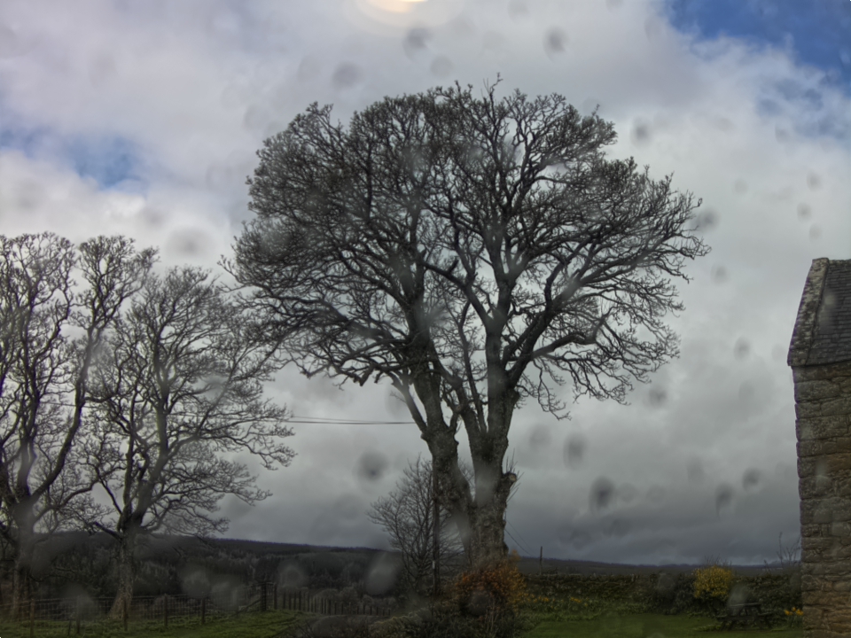 Webcam photo for 10 hrs today