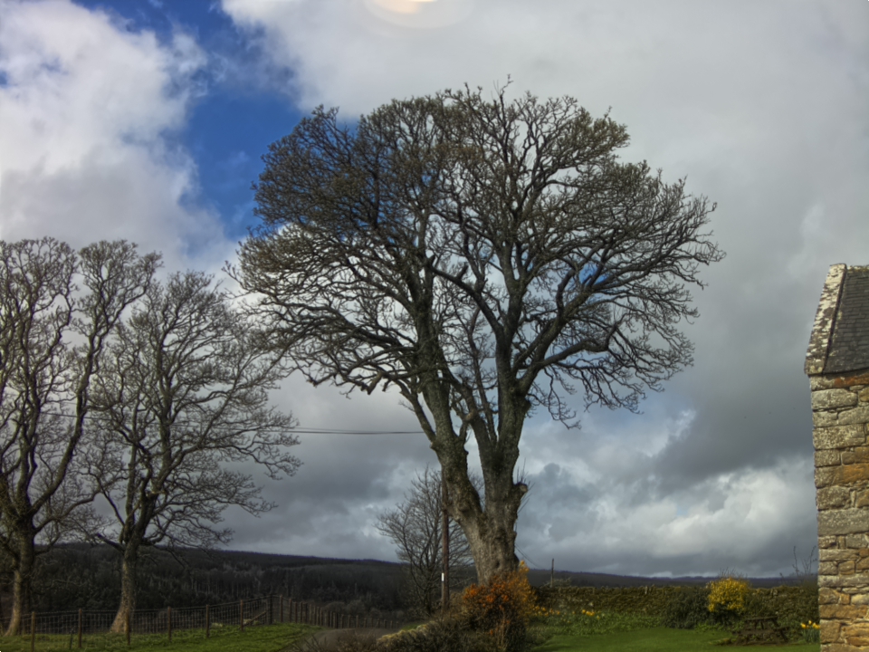 Webcam photo for 11 hrs today