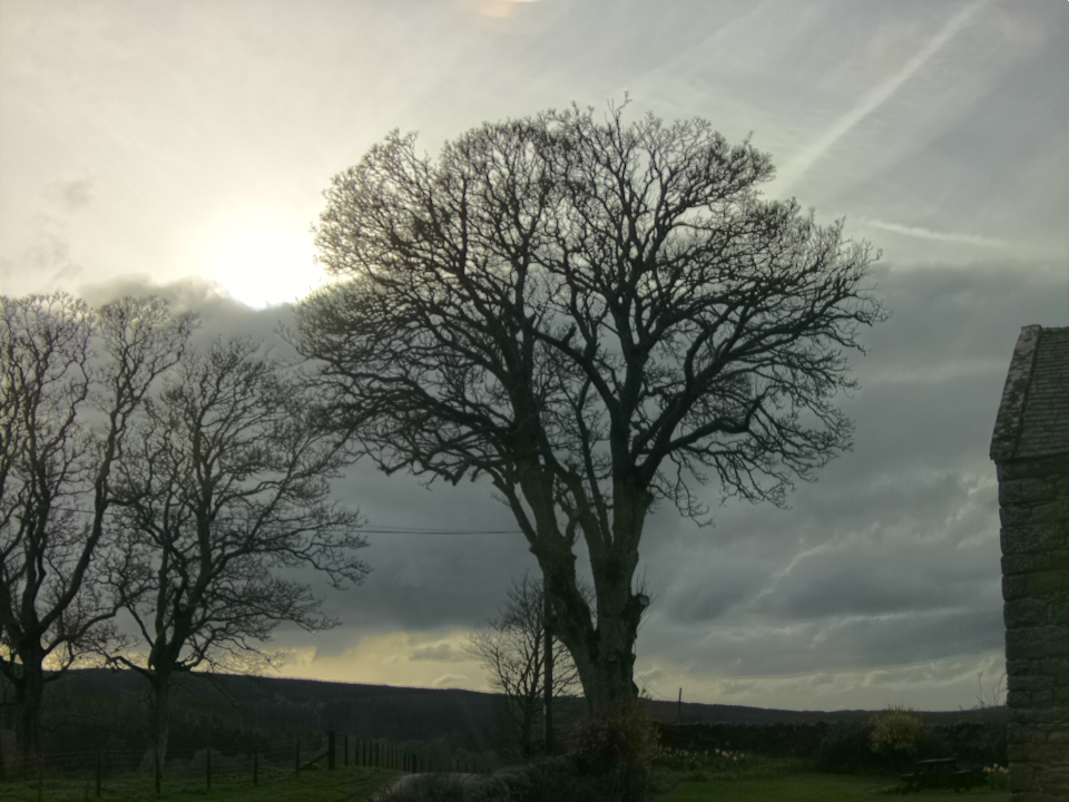 Webcam photo for 18 hrs today