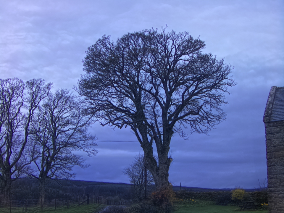 Webcam photo for 06 hrs today