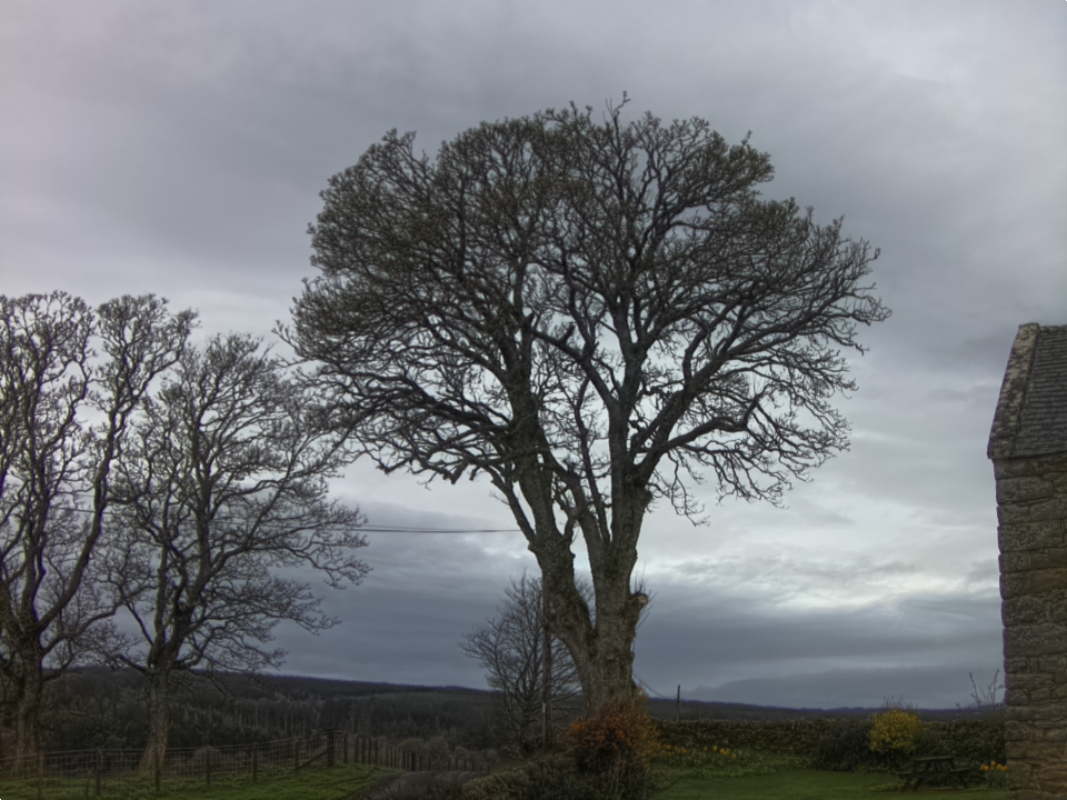 Webcam photo for 08 hrs today