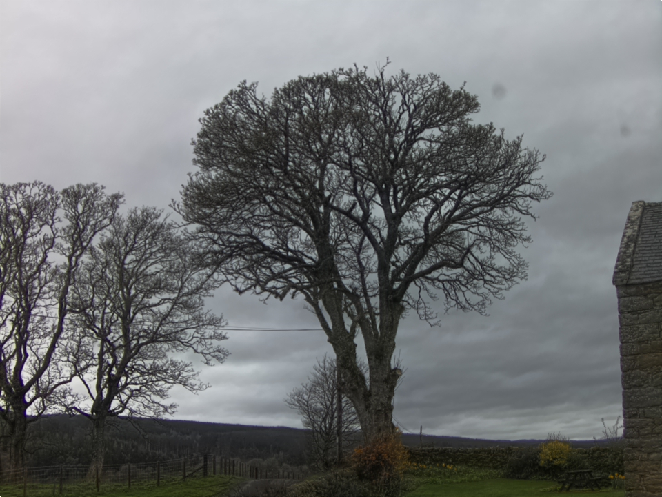 Webcam photo for 10 hrs today