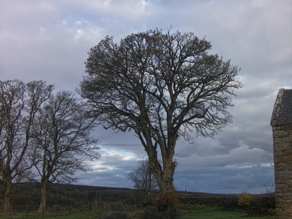 Webcam photo for 07 hrs today