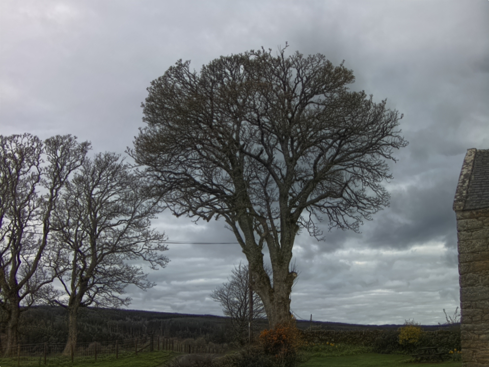 Webcam photo for 08 hrs today