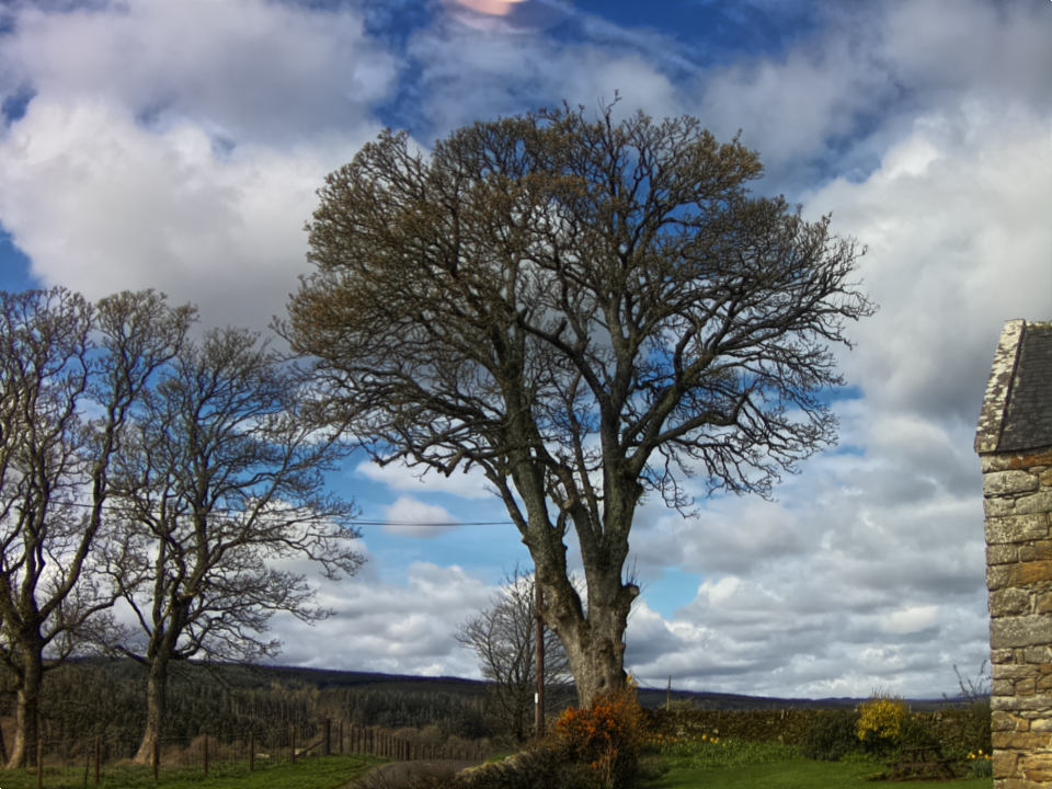 Webcam photo for 11 hrs today