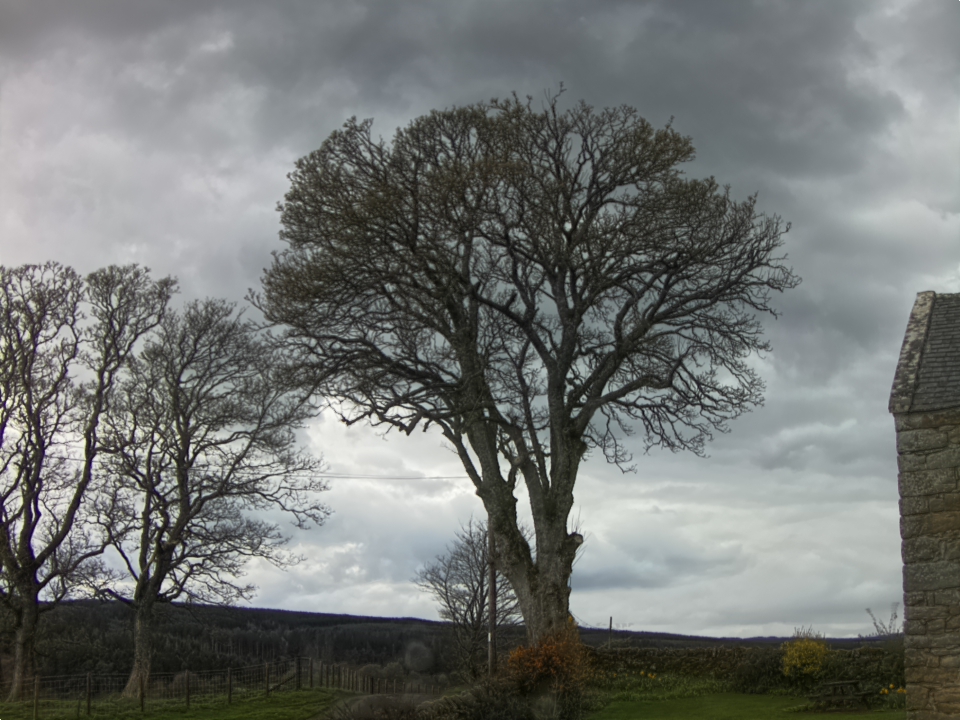 Webcam photo for 14 hrs today