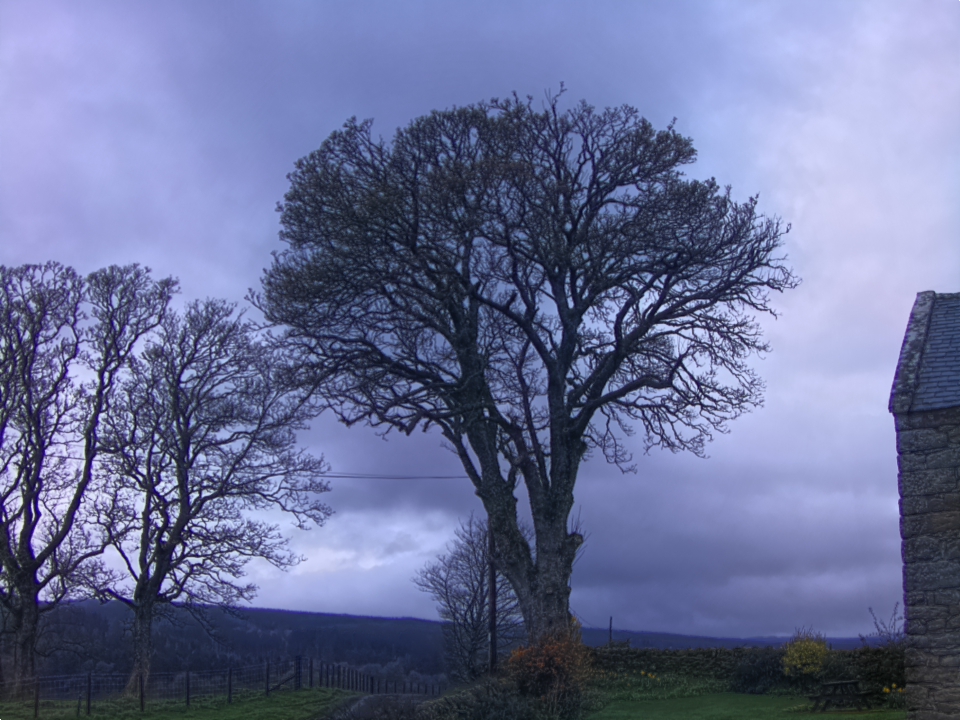 Webcam photo for 06 hrs today